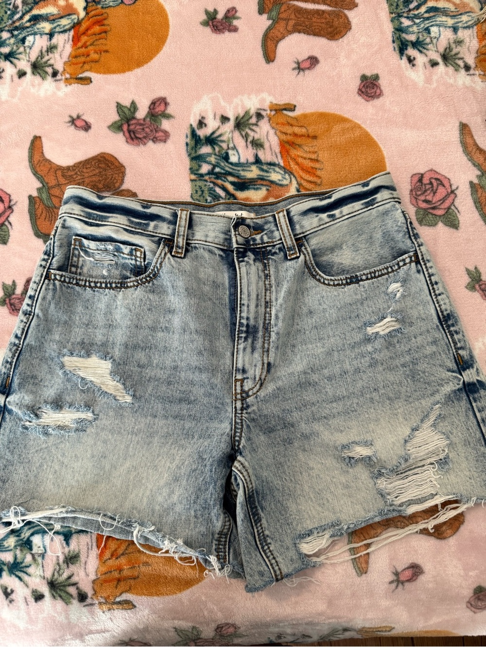 Willow and Root The Rise Up Light Wash Distressed Denim Shorts